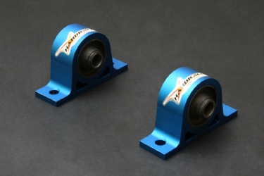 REINFORCED DIFFERENTIAL MOUNT
